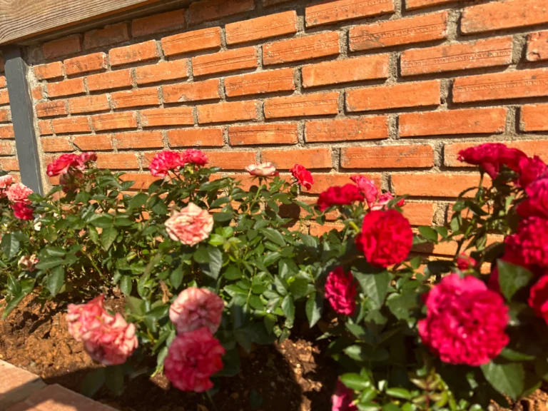 Phòng tắm homestay gỗ sạch sẽ – Mệ Liệu's House homestay nguyên căn Đà Lạt